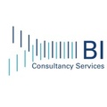 BI Consultancy Services