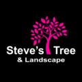 Steve's Tree and Landscape