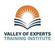 Valley of Experts