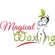 Magical Waxing - Hugh Howell