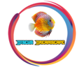 Discus Dreamscape