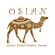 Osian Resorts and Camps