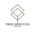 Tree Services Windsor