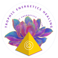 Trophic Energetics Healing Inc.