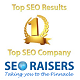 Seoraisers - SEO Company in Chandigarh