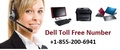 Dell Support Number