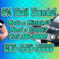 5% Bail Bonds LLC