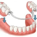 Dixie Dental Laboratory