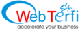 Web Terfi