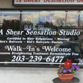 A Shear Sensation Studio