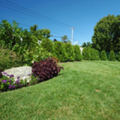 Wilds Green Grass Sod Farm