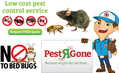 Pest R Gone Pest Control Vaughan