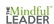 The Mindful Leader