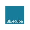 Bluecube Technology Solutions