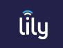 LILY COMMUNICATIONS LTD