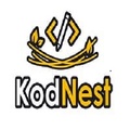 kodnest.com