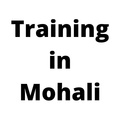 TraininginMohali.in