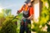 North Richland Hills Tree Service