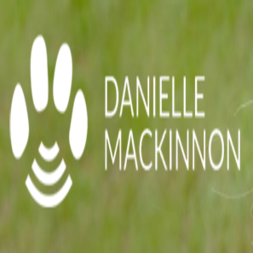 MacKinnon Media, Inc.